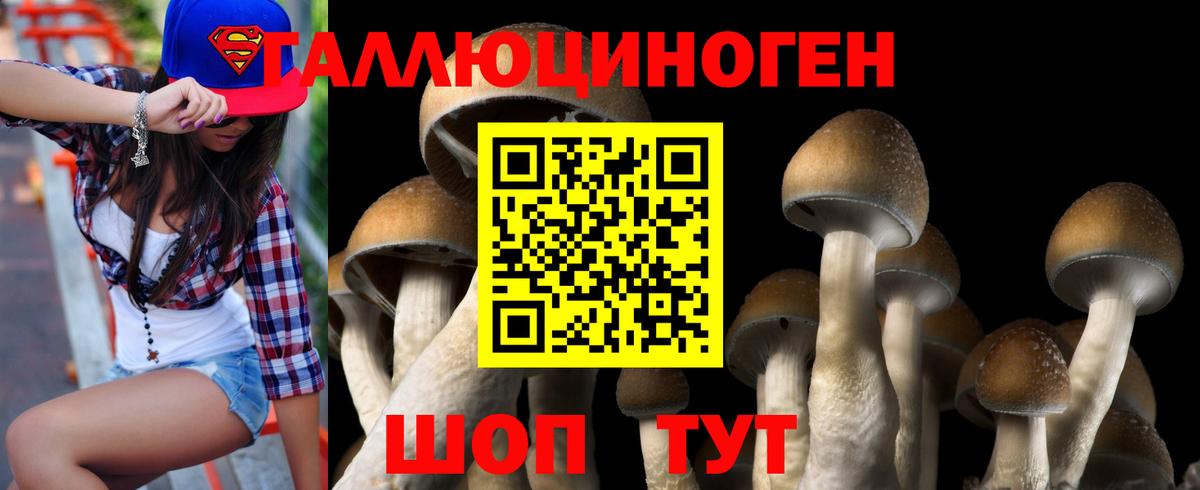 Галлюциногенные грибы Magic Shrooms  Вход с VPN  закладки  Псилоцибиновые грибы мухоморы  Звенигород 